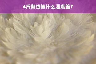 4斤鹅绒被什么温度盖？