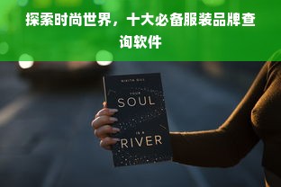 探索时尚世界，十大必备服装品牌查询软件