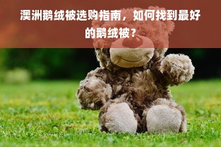 澳洲鹅绒被选购指南，如何找到最好的鹅绒被？