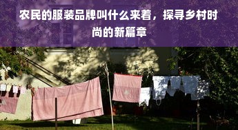 农民的服装品牌叫什么来着，探寻乡村时尚的新篇章