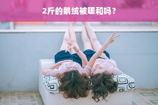 2斤的鹅绒被暖和吗？