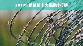 2018年鹅绒被十大品牌排行榜