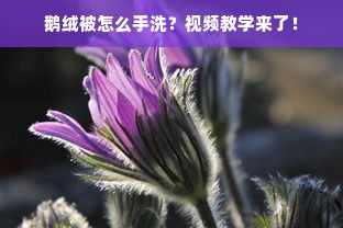 鹅绒被怎么手洗？视频教学来了！