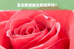 亚朵鹅绒被会有响声吗？