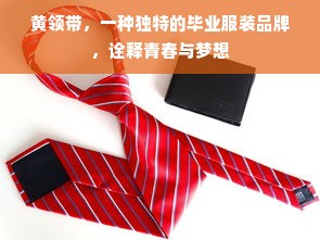 黄领带，一种独特的毕业服装品牌，诠释青春与梦想