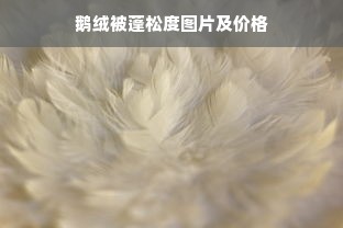 鹅绒被蓬松度图片及价格