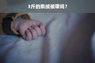 3斤的鹅绒被暖吗？