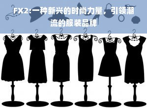 FX2:一种新兴的时尚力量，引领潮流的服装品牌