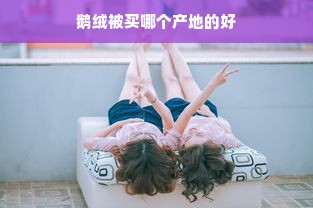 鹅绒被买哪个产地的好