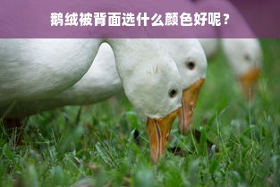 鹅绒被背面选什么颜色好呢？