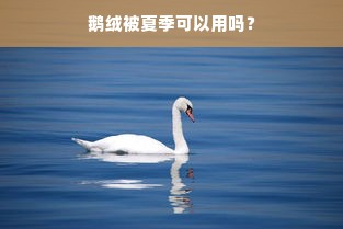 鹅绒被夏季可以用吗？