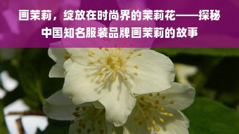 画茉莉，绽放在时尚界的茉莉花——探秘中国知名服装品牌画茉莉的故事