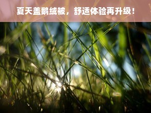 夏天盖鹅绒被，舒适体验再升级！