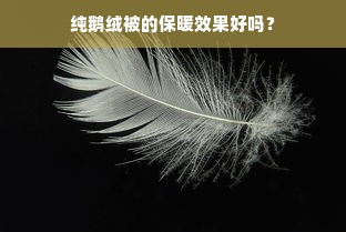 纯鹅绒被的保暖效果好吗？