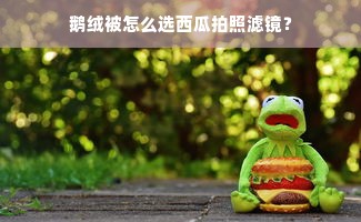 鹅绒被怎么选西瓜拍照滤镜？