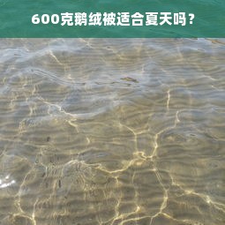 600克鹅绒被适合夏天吗？