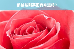 鹅绒被刚买回有味道吗？