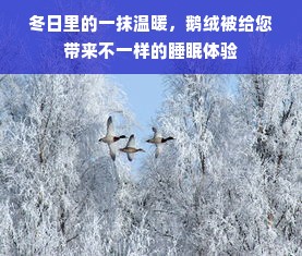 冬日里的一抹温暖，鹅绒被给您带来不一样的睡眠体验