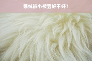 鹅绒被小被套好不好？