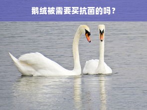 鹅绒被需要买抗菌的吗？