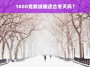 1400克鹅绒被适合冬天吗？