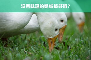 没有味道的鹅绒被好吗？