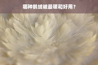 哪种鹅绒被最暖和好用？