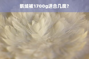 鹅绒被1700g适合几度？