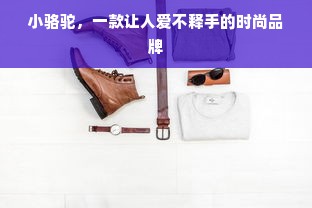 小骆驼，一款让人爱不释手的时尚品牌