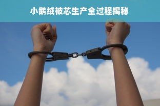 小鹅绒被芯生产全过程揭秘