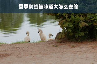 夏季鹅绒被味道大怎么去除