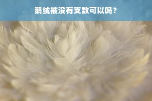 鹅绒被没有支数可以吗？