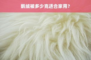 鹅绒被多少克适合家用？