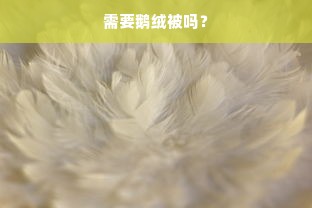 需要鹅绒被吗？