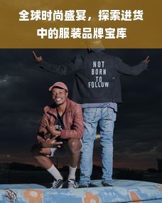 全球时尚盛宴，探索进货中的服装品牌宝库