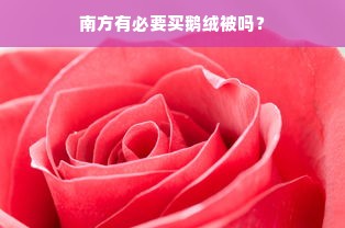 南方有必要买鹅绒被吗？