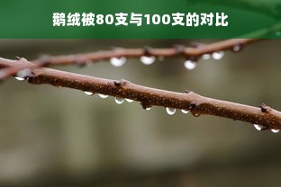 鹅绒被80支与100支的对比