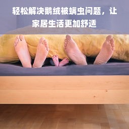 轻松解决鹅绒被螨虫问题，让家居生活更加舒适