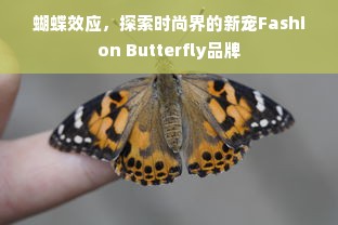 蝴蝶效应，探索时尚界的新宠Fashion Butterfly品牌