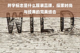 井字标志是什么服装品牌，探索时尚与经典的完美结合