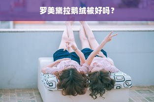 罗美黛拉鹅绒被好吗？