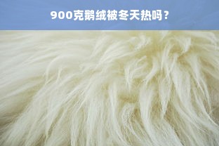 900克鹅绒被冬天热吗？