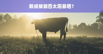 鹅绒被能否太阳暴晒？