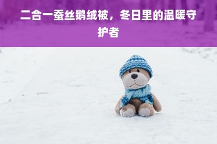 二合一蚕丝鹅绒被，冬日里的温暖守护者