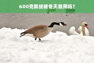 600克鹅绒被冬天能用吗？