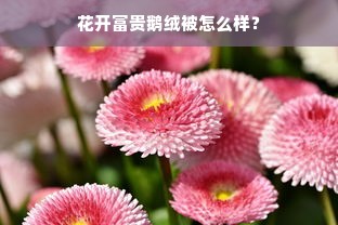 花开富贵鹅绒被怎么样？