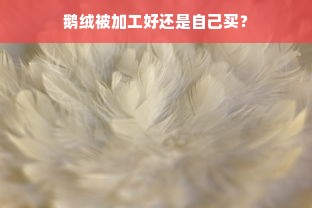 鹅绒被加工好还是自己买？