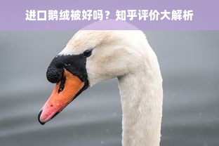 进口鹅绒被好吗？知乎评价大解析