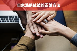 自家洗鹅绒被的正确方法