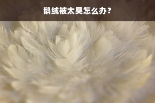 鹅绒被太臭怎么办？